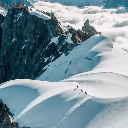 Ancolie - Free Parking Close To Lift - By Cozee 公寓 霞慕尼