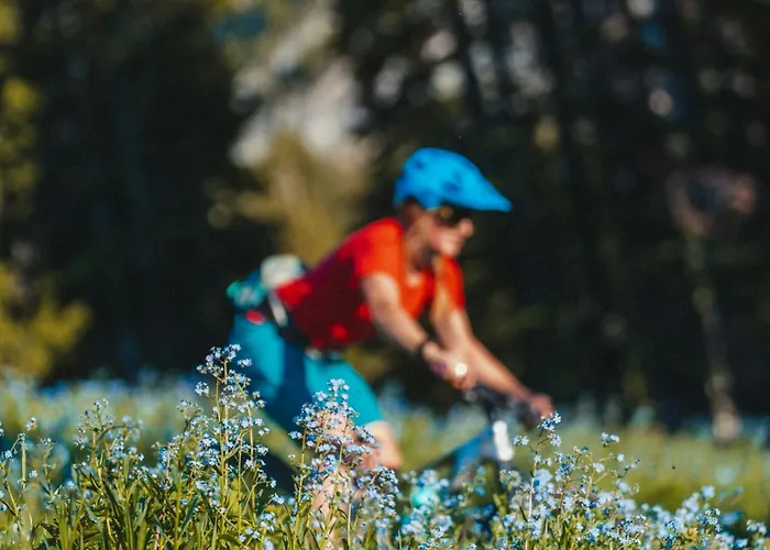Ancolie - Free Parking Close To Lift - By Cozee Chamonix